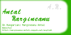 antal margineanu business card